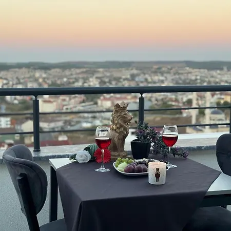 Hotel Bzn Airport 3*